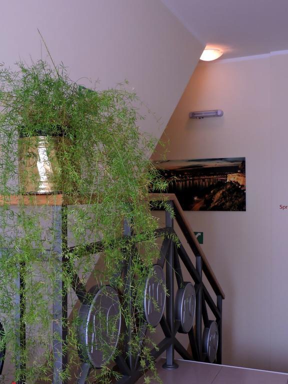 B&B Zmajevo Gnezdo 021 Sremska Kamenica Экстерьер фото