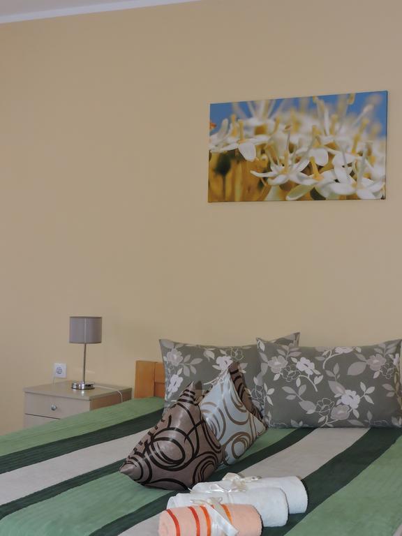 B&B Zmajevo Gnezdo 021 Sremska Kamenica Номер фото