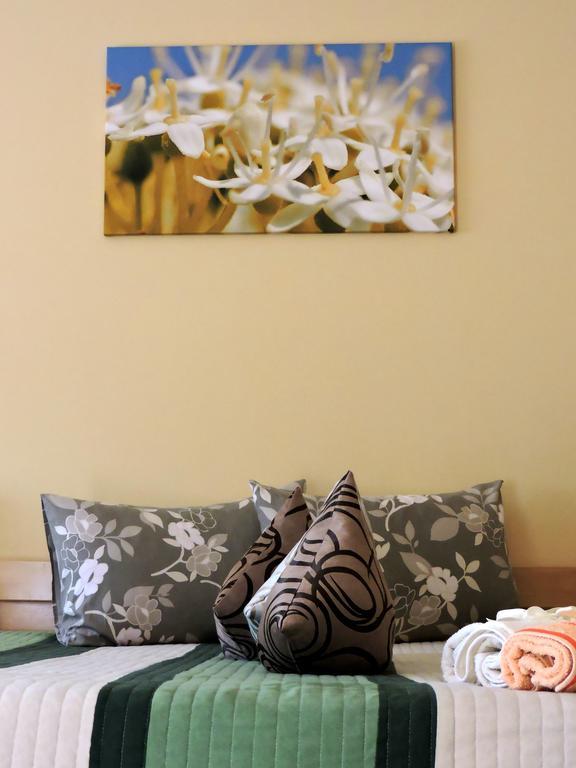 B&B Zmajevo Gnezdo 021 Sremska Kamenica Экстерьер фото